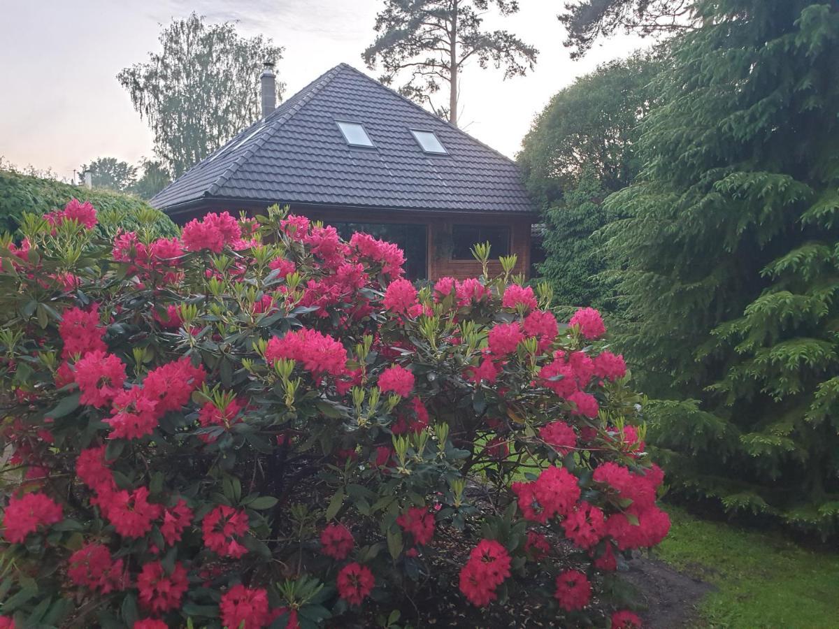 Villa BITTE Namiņš Jūrkalne Exterior foto