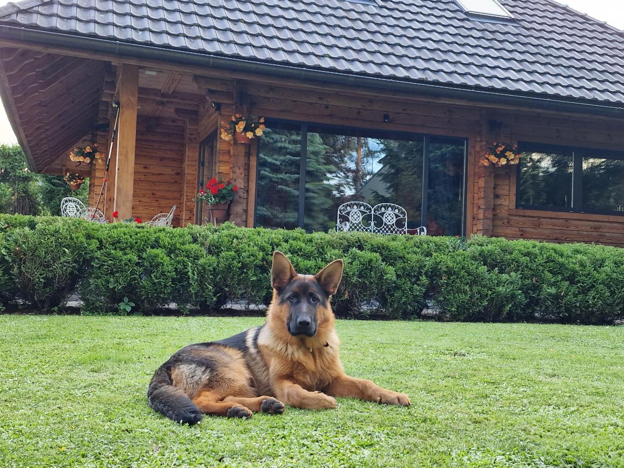 Villa BITTE Namiņš Jūrkalne Exterior foto
